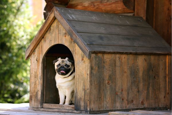 外飼いの犬のイメージ　犬小屋